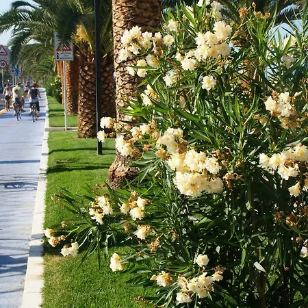 Casetta Di Mare Appartamento *